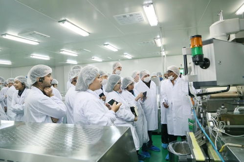 国际技术专家聚首尔康 共话淀粉胶囊应用前景与技术转让新机遇