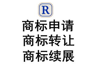 深圳罗湖专利转让与商标专利 技术转化的桥梁与机遇